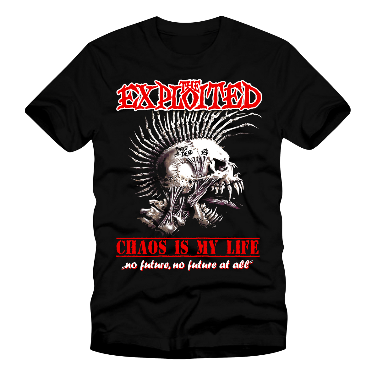 TheExploited_Chaos-is-my- 